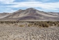 View to the desert, mountains, grass and saline Ã¢â¬â beauty of na